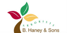 B. Haney & Sons