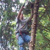 C&A Tree Service