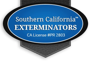 Southern California Exterminators